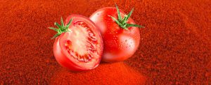تولید کننده پودر گوجه فرنگی با کیفیت عالی