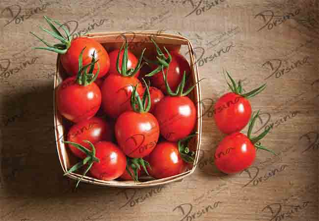 فروش گوجه فرنگی صادراتی