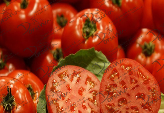 فروش گوجه فرنگی ارگانیک