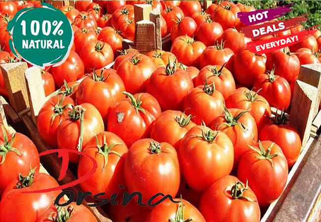 فروش گوجه فرنگی گلخانه ای