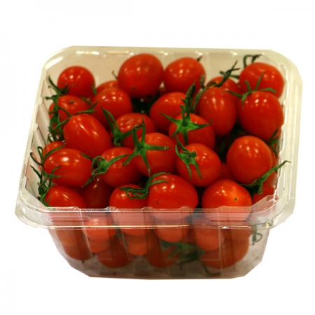 کیفیت انواع گوجه گیلاسی بسته بندی