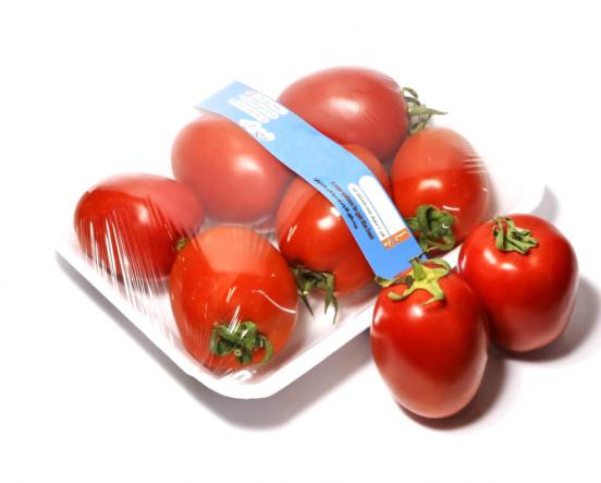 عرضه گوجه فرنگی بسته بندی صادراتی