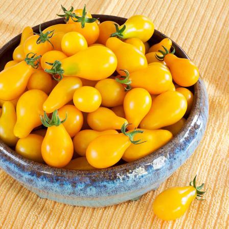 فواید باور نکردنی گوجه زرد صادراتی