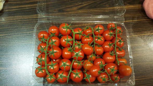 مزایای گوجه بسته بندی شده را بدانید 