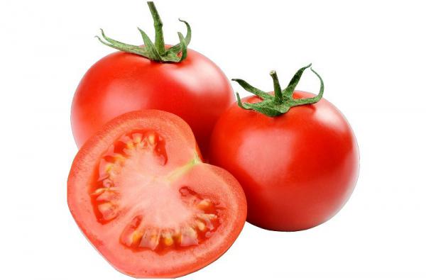 قیمت گوجه فرنگی رقم 8320 در بازار 