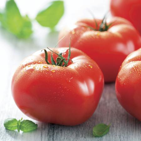 صادرات گوجه فرنگی ارگانیک به روسیه 