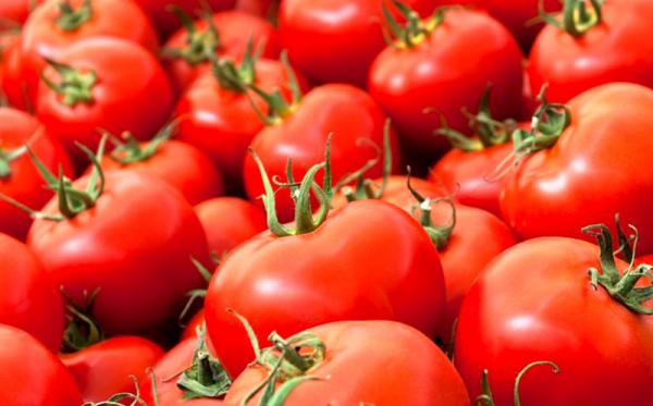 خواص بی نظیر گوجه گلخانه ای را بدانید