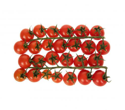 قیمت انواع بذر گوجه فرنگی بوته ای در کرج