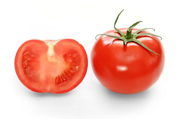 قیمت مناسب گوجه فرنگی رقم سانسید تهران