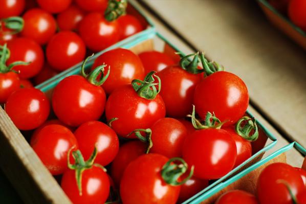 نحوه تشخیص گوجه فرنگی اصلاح شده