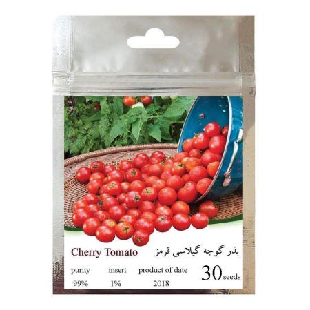تولید مستقیم گوجه گیلاسی قرمز تهران