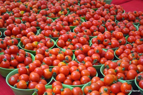 قیمت صادرات گوجه فرنگی مرغوب 