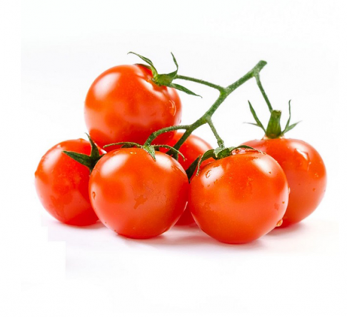 پخش کنندگان انواع گوجه گیلاسی صادراتی 