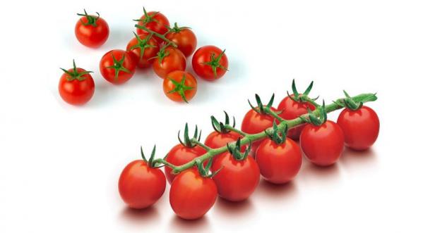 همه چیز در مورد انواع گوجه فرنگی فضای باز