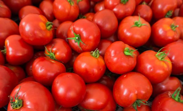 7 مزیت خوردن گوجه فرنگی را بدانید