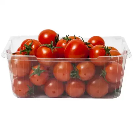 قیمت روز گوجه زیتونی رابی