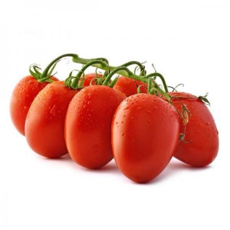 جدیدترین قیمت گوجه چری قرمز زیتونی