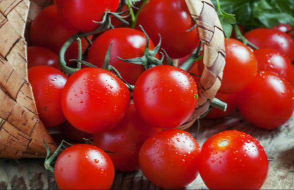 کیفیت انواع گوجه چری گلخانه ای