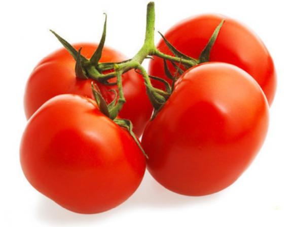 اطلاعاتی درباره گوجه گلخانه ای صادراتی