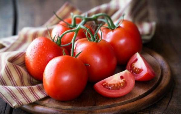قیمت پایین گوجه گلخانه ای صادراتی