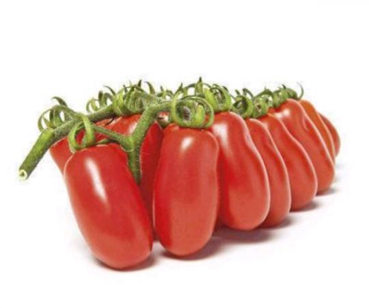 اطلاعاتی درباره گوجه خوشه ای همرس