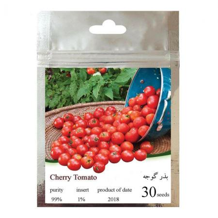 اطلاعاتی درباره بذر گوجه زیتونی جگوار