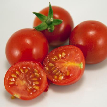 کیفیت انواع بذر گوجه گلخانه ای ۴۱۲۹