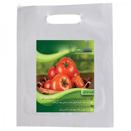 عمده فروشی بذر گوجه صادراتی