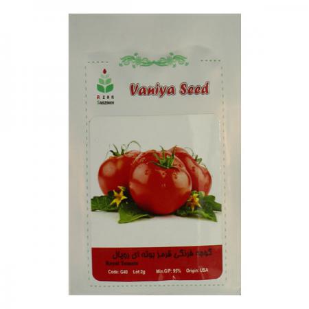 اطلاعاتی درباره بذر گوجه گلخانه ای ۴۱۲۹