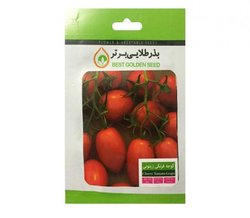 فروش بذر گوجه گلخانه ای ۴۱۲۹