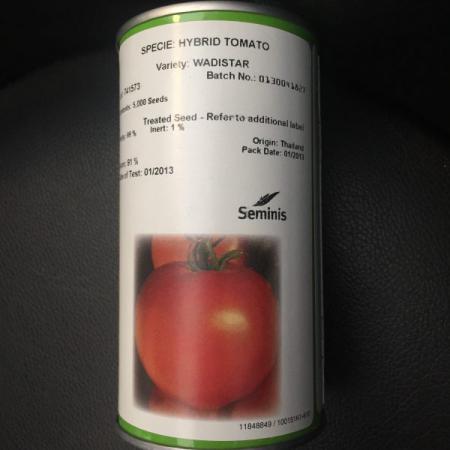 فروش عمده بذر گوجه صادراتی