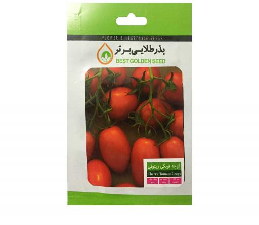 توزیع عمده بذر گوجه فرنگی صادراتی