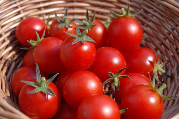 نکات مهم در خرید گوجه گیلاسی بسته بندی