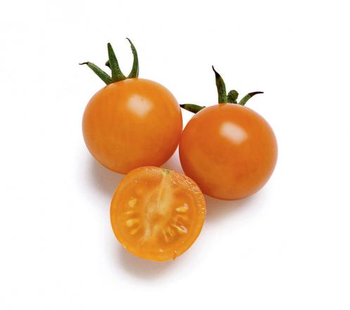بررسی کیفی گوجه چری زیتونی