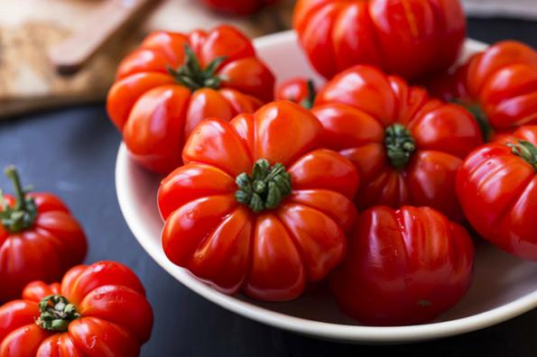 اطلاعاتی درباره کیفیت بذر گوجه فرنگی
