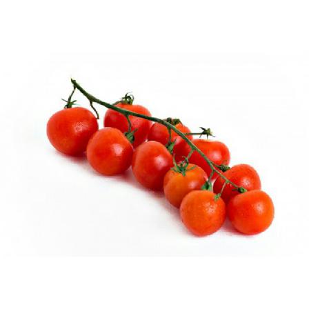 ویژگی بارز گوجه زیتونی رابی