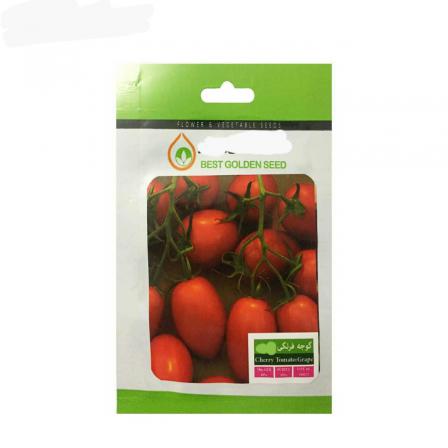 کیفیت بذر گوجه گلخانه از درشت