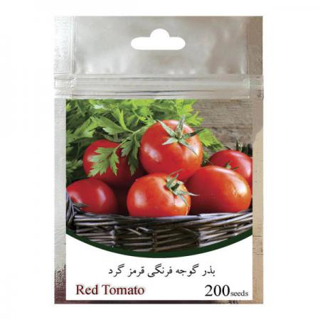 سفارش عمده بذر گوجه صادراتی