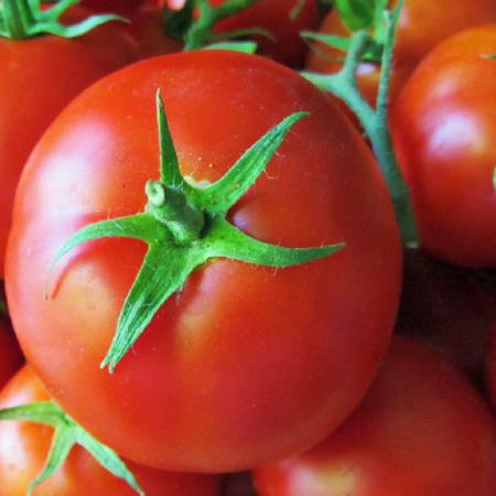 اطلاعاتی درباره بذر گوجه خوب