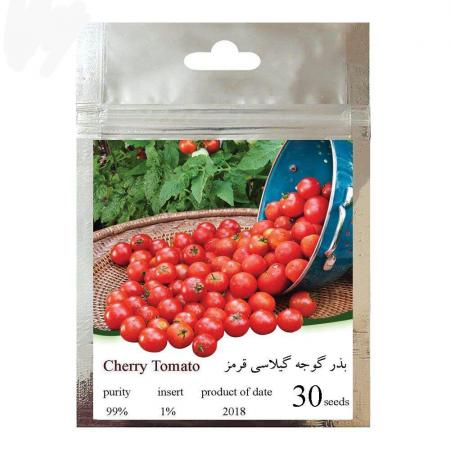اطلاعاتی درباره بذر گوجه گیلاسی گلخانه ای