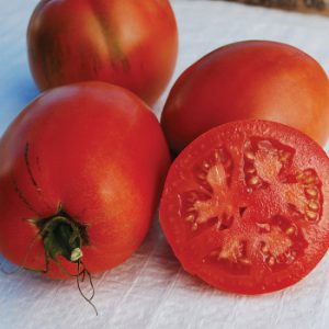 در چه فصلی باید بذر گوجه را کاشت؟