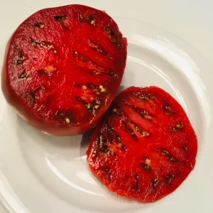 بذر گوجه پارتنوکارپیک