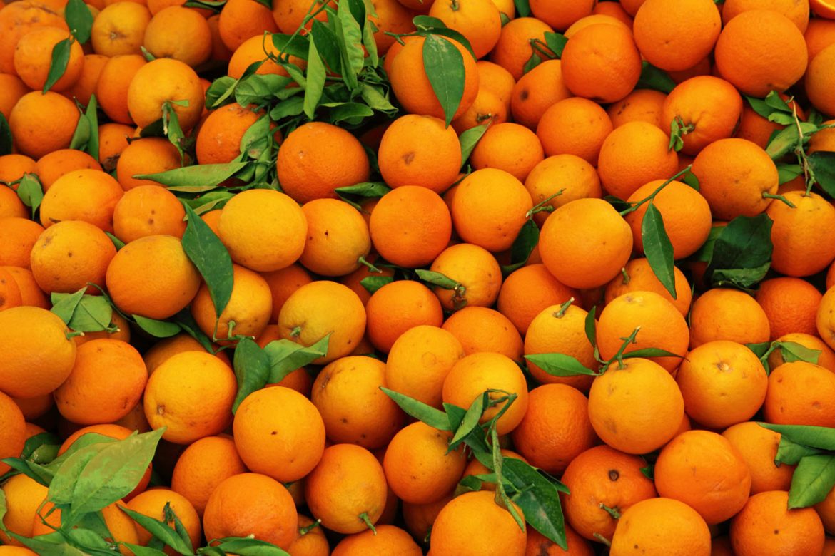 مصرف پرتقال محلی جهرم را جایگزین آنتی هیستامین برای درمان آبریزش بینی کنید
